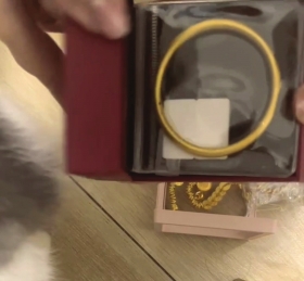 491917771f32674f7a6fe266fc27b5ef21d525f68f0