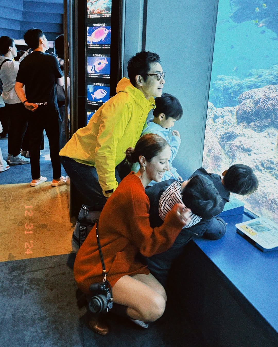 snapins ai3535692348573764166