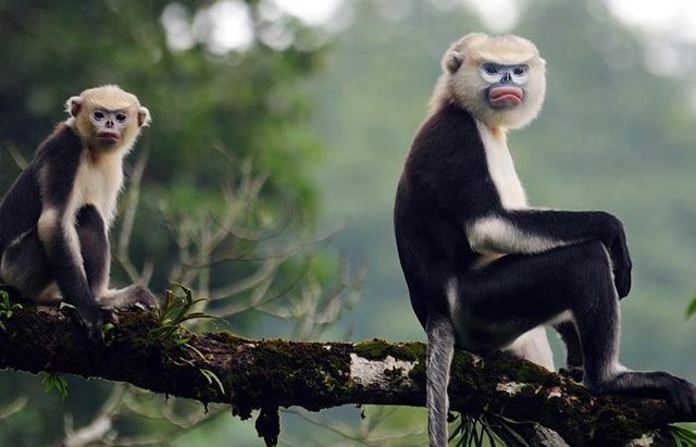 loai 1 17551538632991863095340 1755159564228 1755159564542438157290