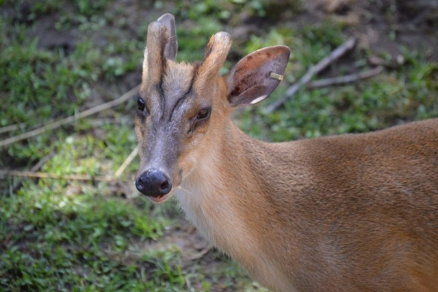 loai 13 17545515502251735188582 1754639163862 17546391641142017303599