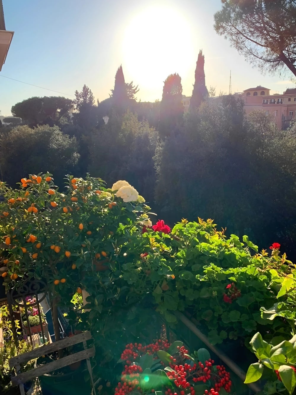 d214cb91 78f7 459c 9f8d 141146309ae2 1