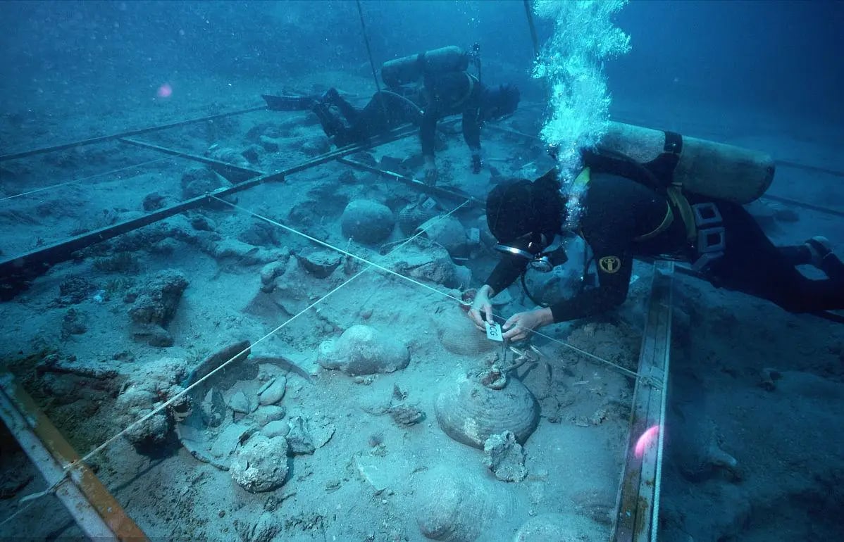 81109a42 fc6f 4b15 a8c5 f91dec1a9097