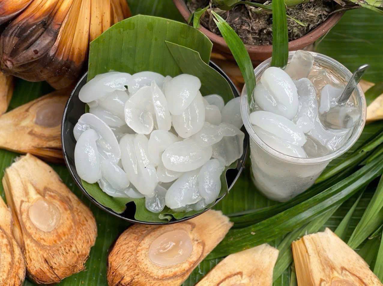 55881593231653565769664246122510002512364190n