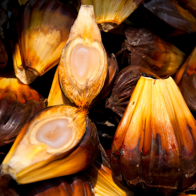 cach lam socola dubai 3 17200055790161885964878 1720236167346 1720236167499362671957 1720253604046 1720253606579309113222