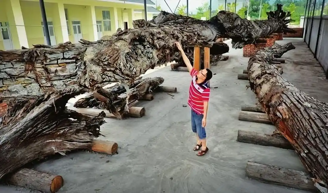 1ad5ad6eddc451daa5b0414c1482c869d1163265