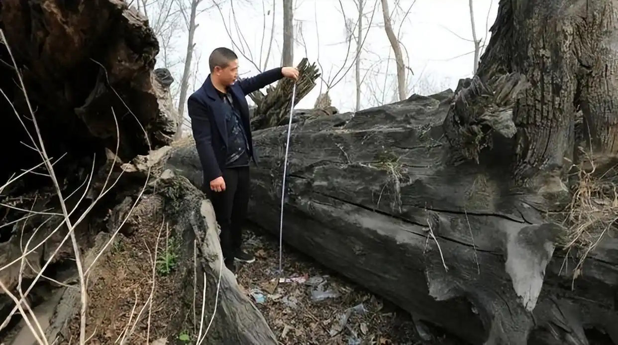 a8ec8a13632762d0f33a7d5a029392f5503dc65a