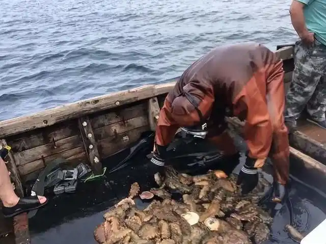 d009b3de9c82d158004697bbe71b63d6bd3e4290