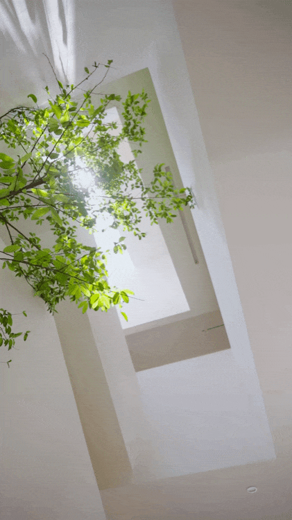 005bzkstly4i1tbj63yo8g60bp0ku4qq02