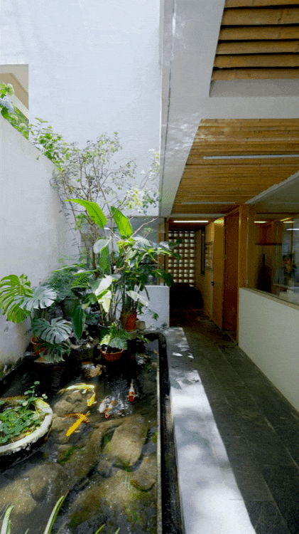 005bzkstly4i1tbj65bw1g60bp0kukjm02