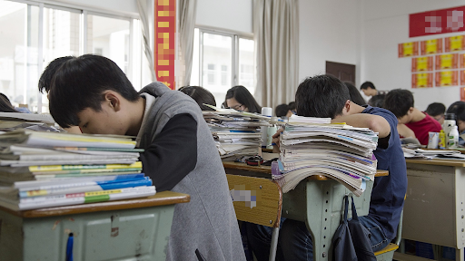 edit unnamed 5 1763959567409544853733