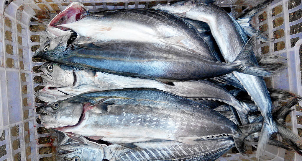 56920989288343ccb6ca3f573a33d504