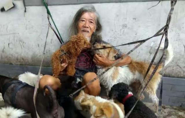 8437cc2608204598fb349037bacbe8d0