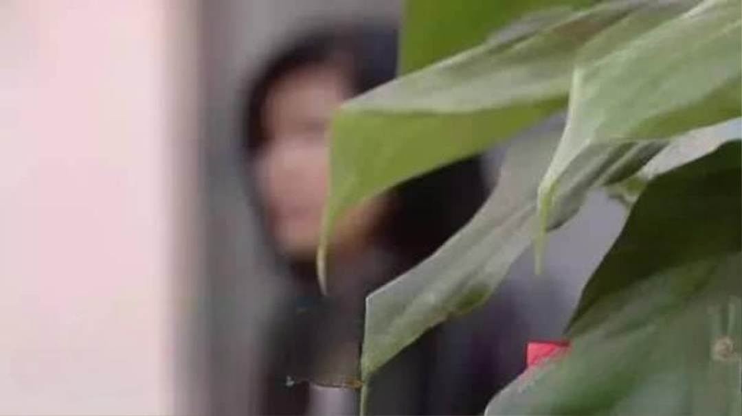 44ac2fd0eb8259899e9214382baec308