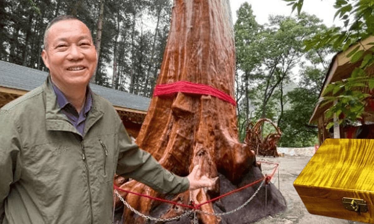 9e392622 b234 45cb 85d3 ad96fb994694