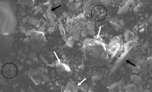 screenshot 2025 12 22 112350