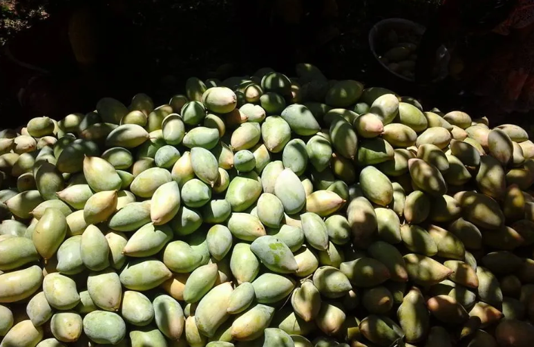 screenshot 2025 12 22 152854