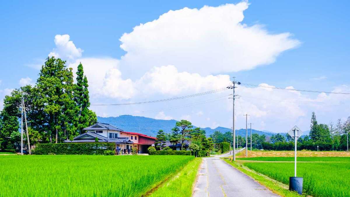 img63b9db36d739f205da7df7fd0424428d97347