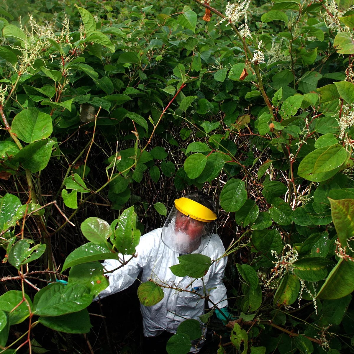 53a62a8a e6ec 40f2 a01b 6906723b057a