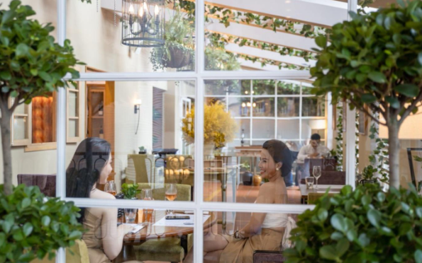 screenshot 2026 01 19 151328