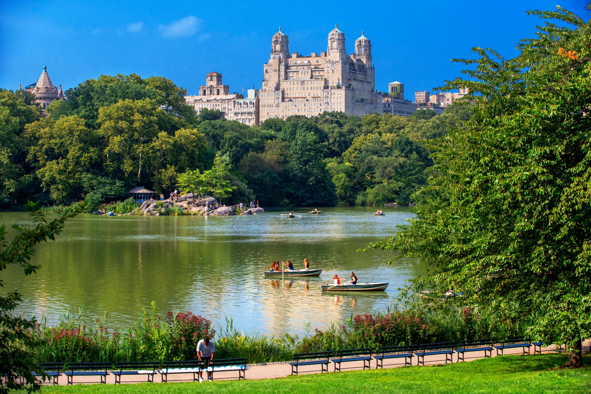 rowboat boats lake central park 126785684