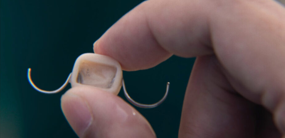 vs netflix squidgamee3001 2236 e1735310742675 925x450