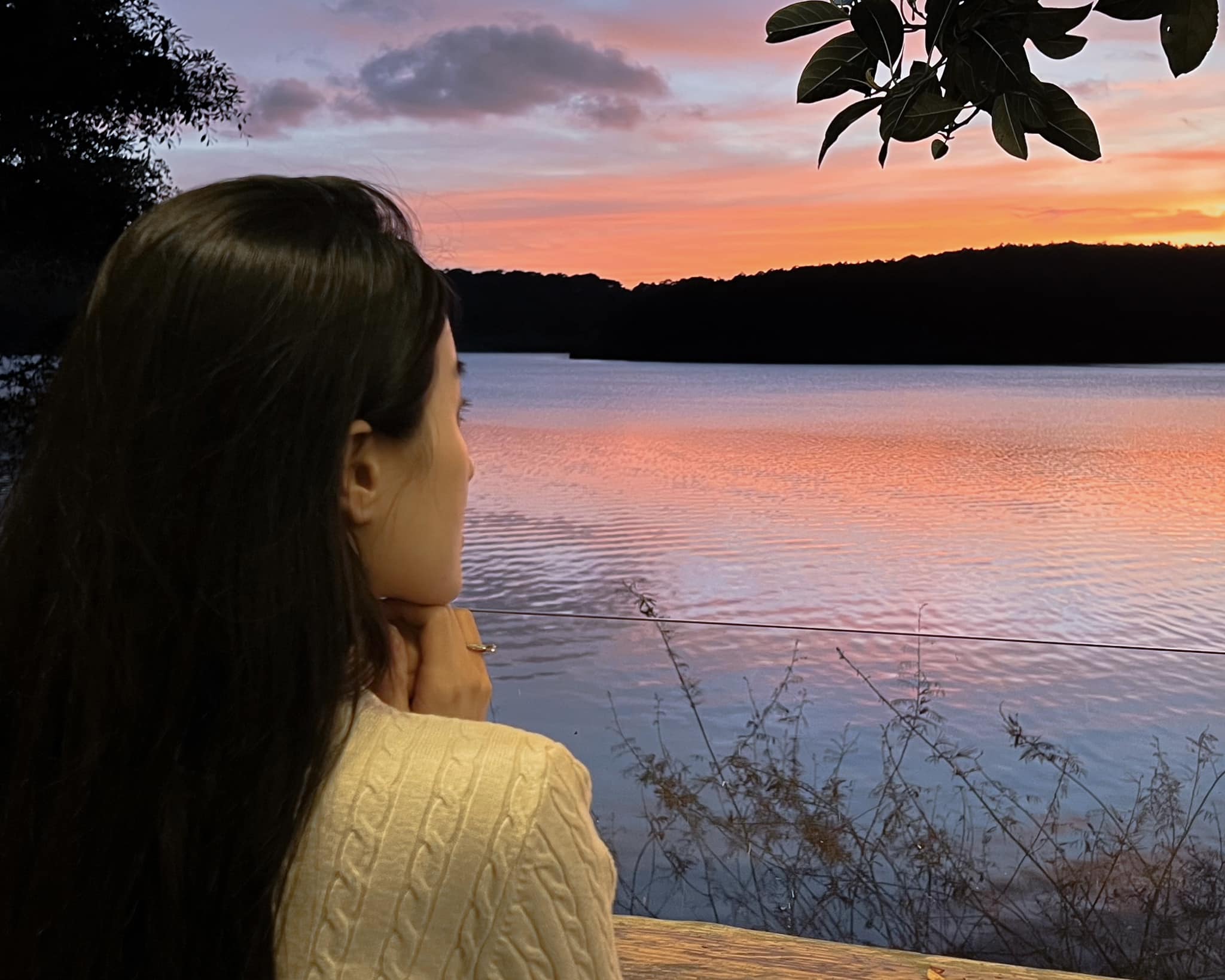 47649588011713822443460783814498248280459623n