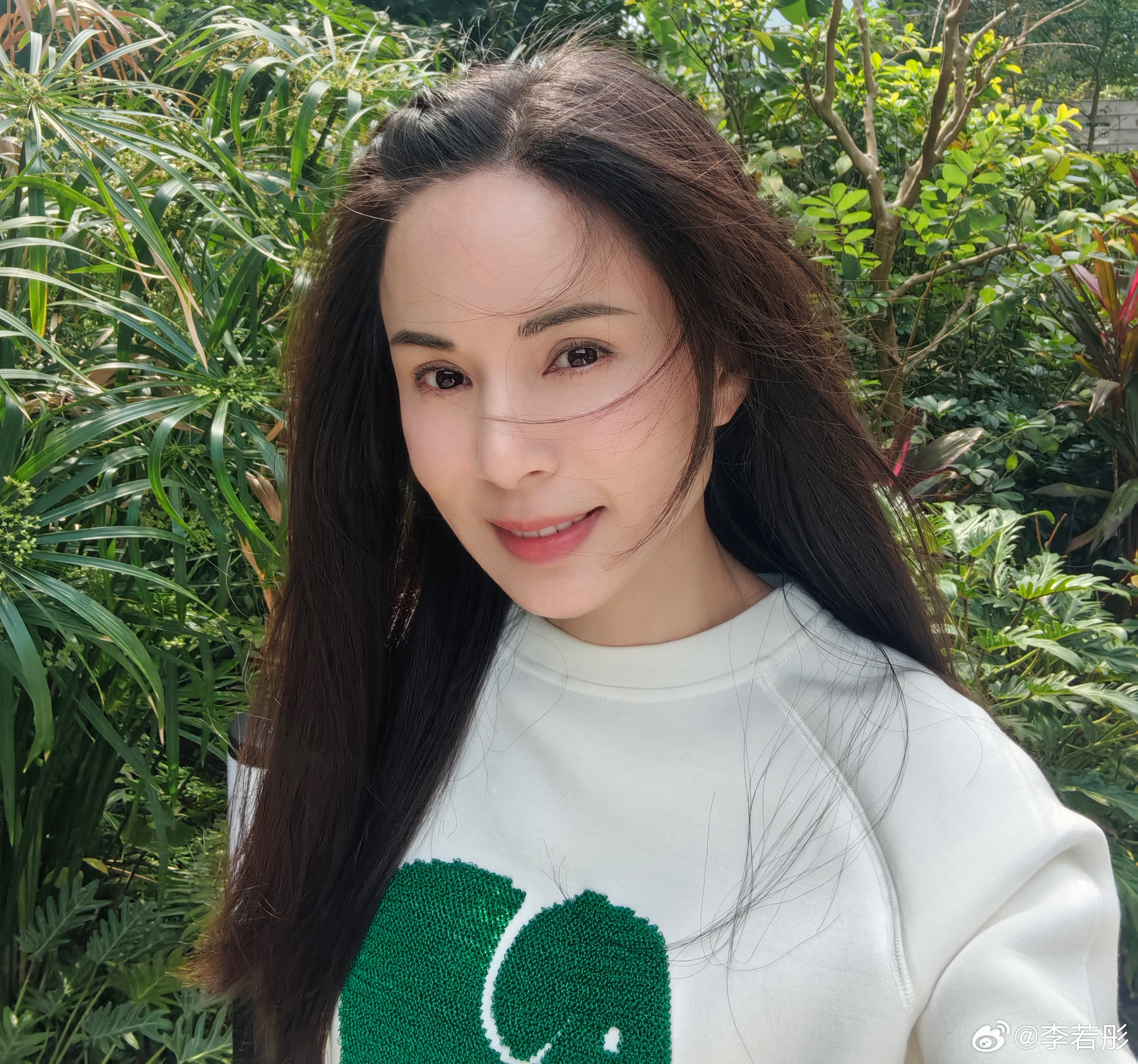 anh13