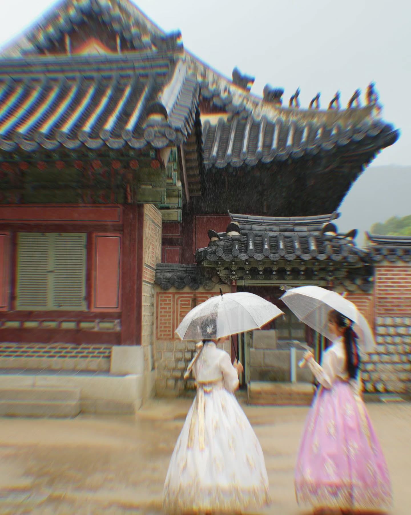 zhangyaodong46588221112399744173312649023849125051668533n