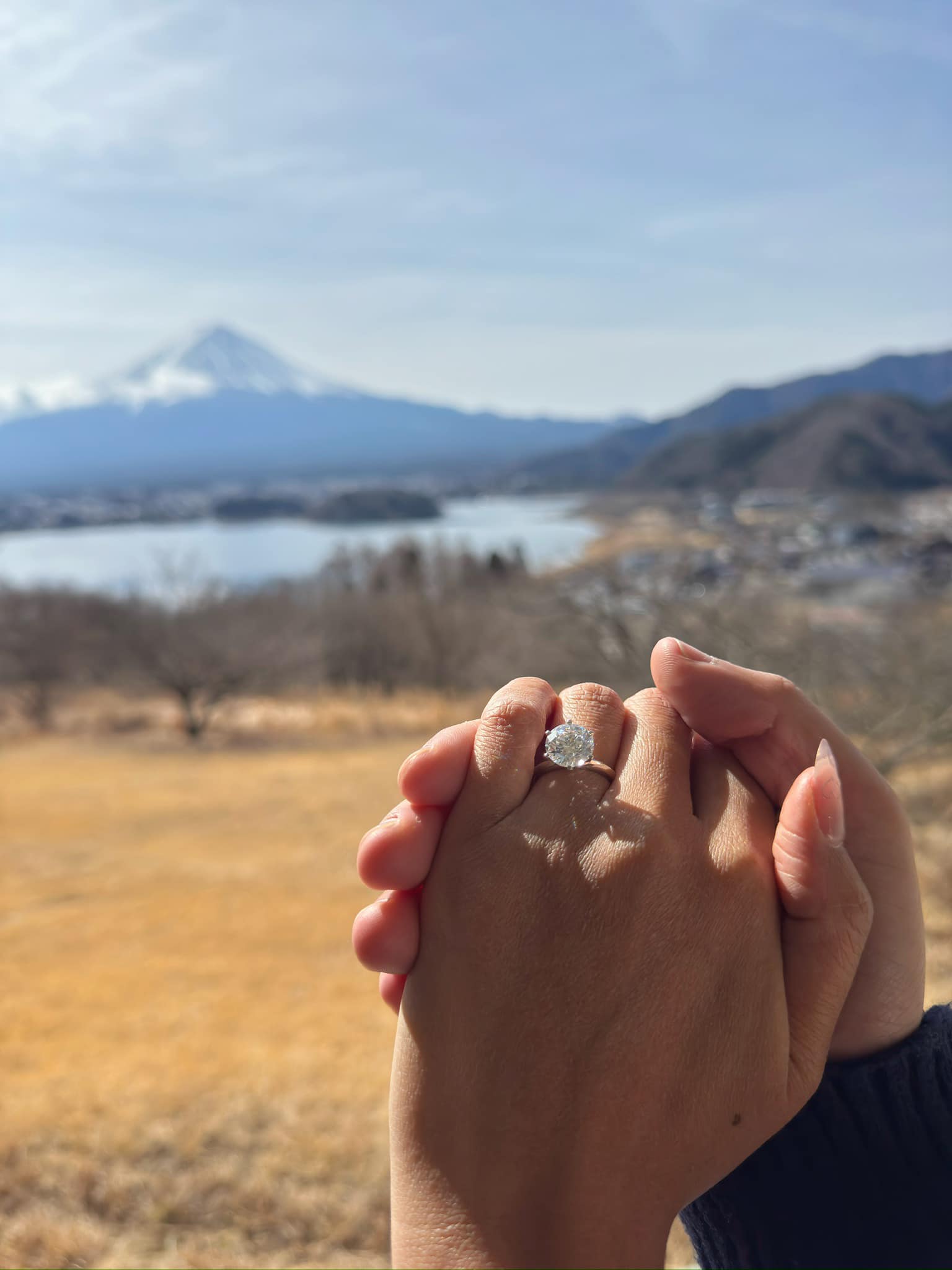 48108529730987335769520376063874079273530386n