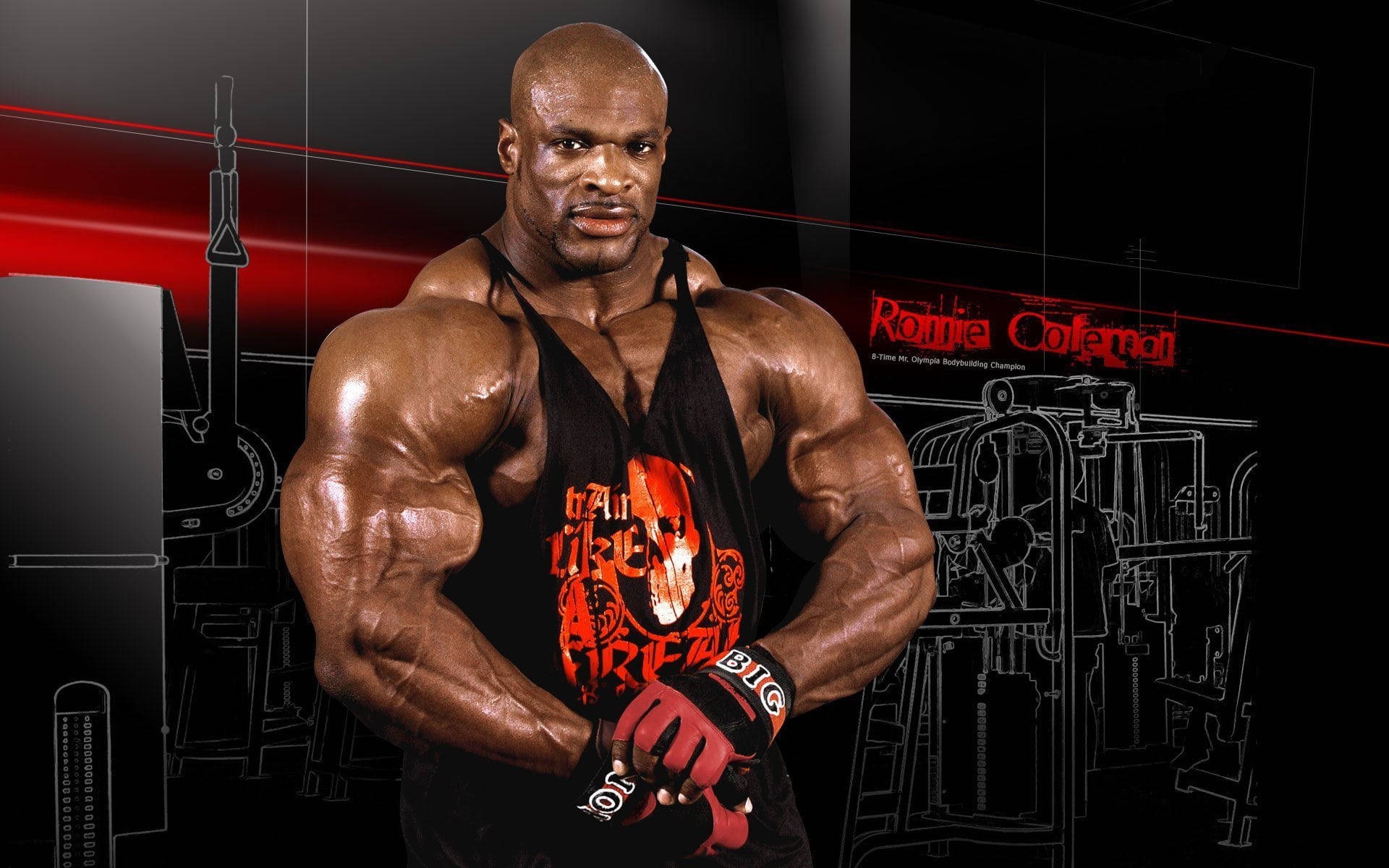 14 surprising facts about ronnie