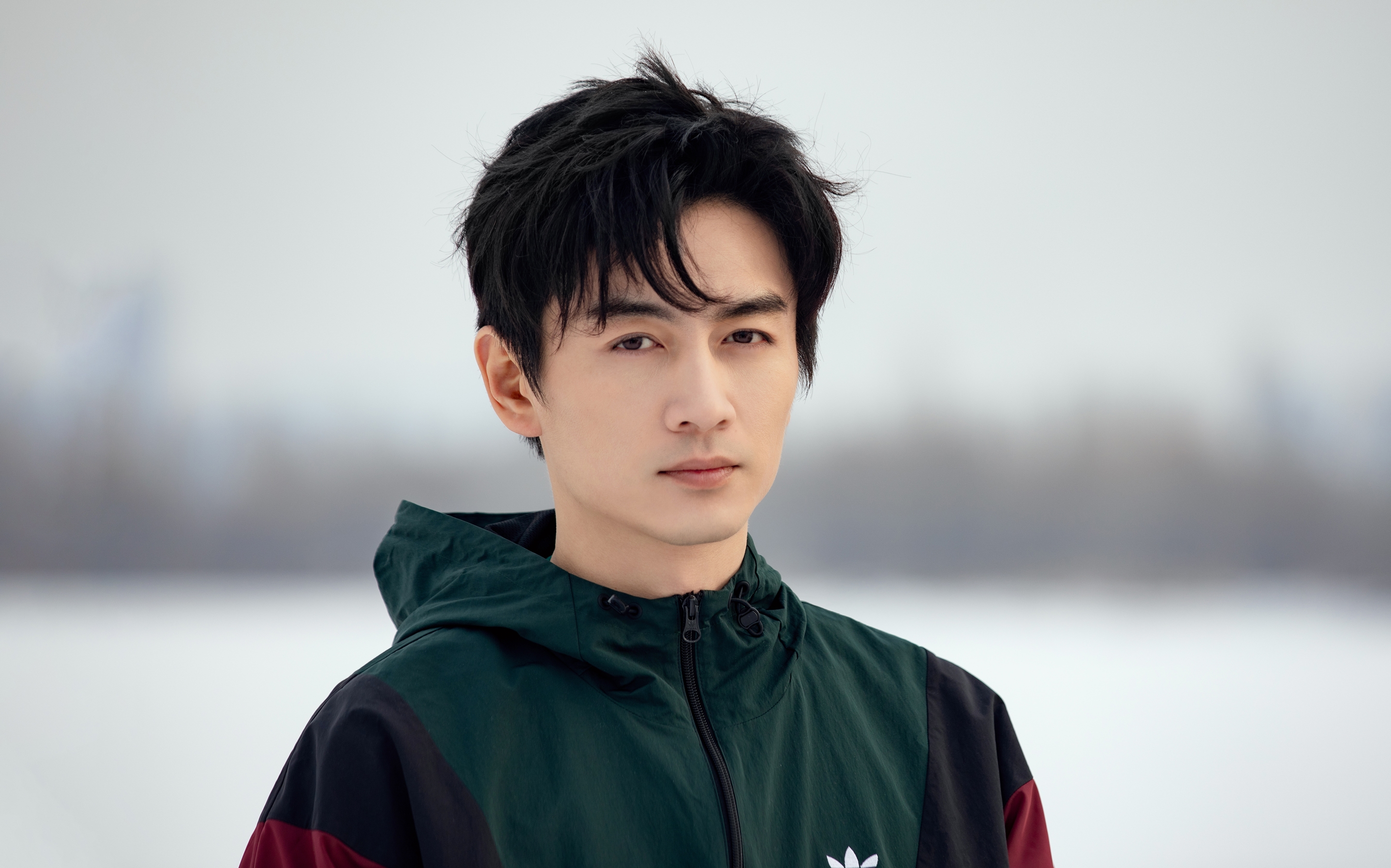zhaoliying12a