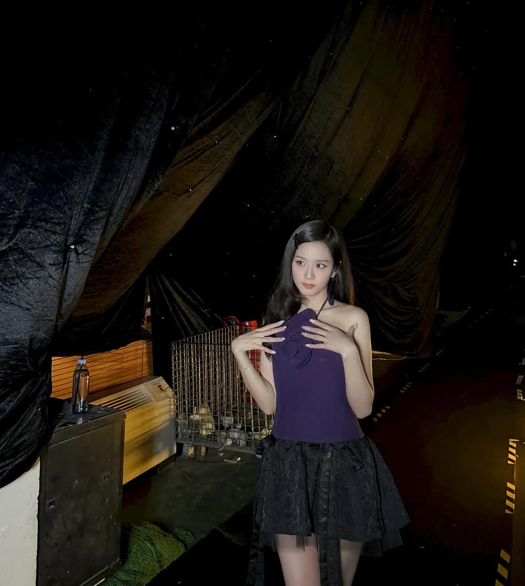 snapinsai488882210182966018352660964171938857545717138n1080