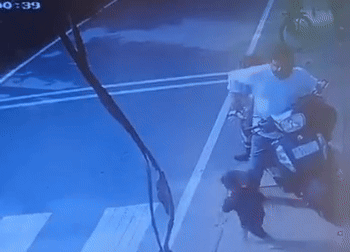 snapins ai35226205945361717961 ezgifcom video to gif converter 1