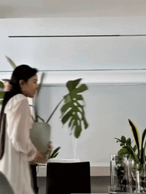 thiet ke chua co ten 5