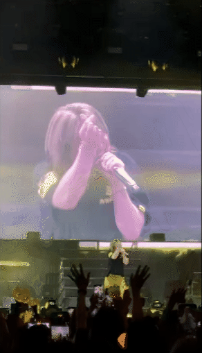 chrome capture 2025 5 3 8