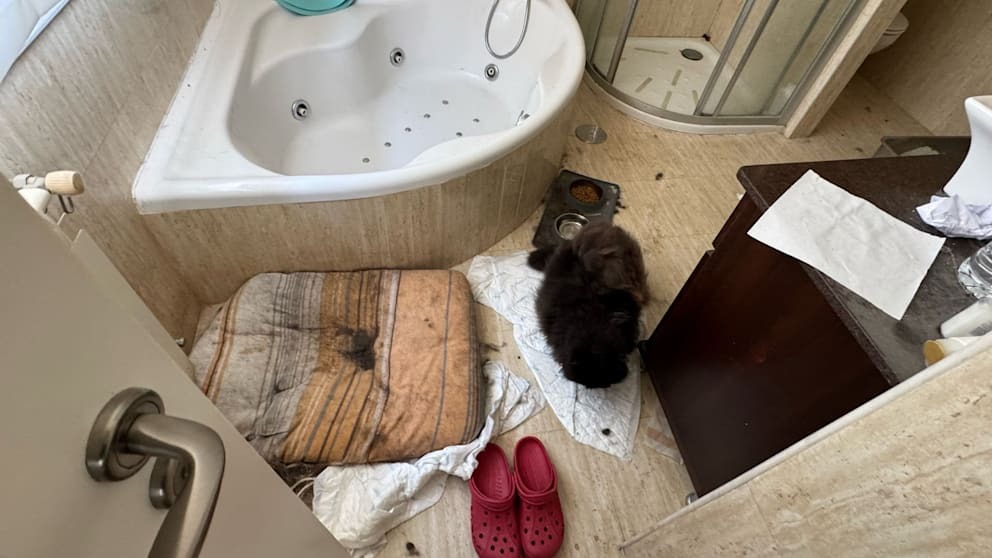 dd743091a9ae684f8d7d652851c6d1a4