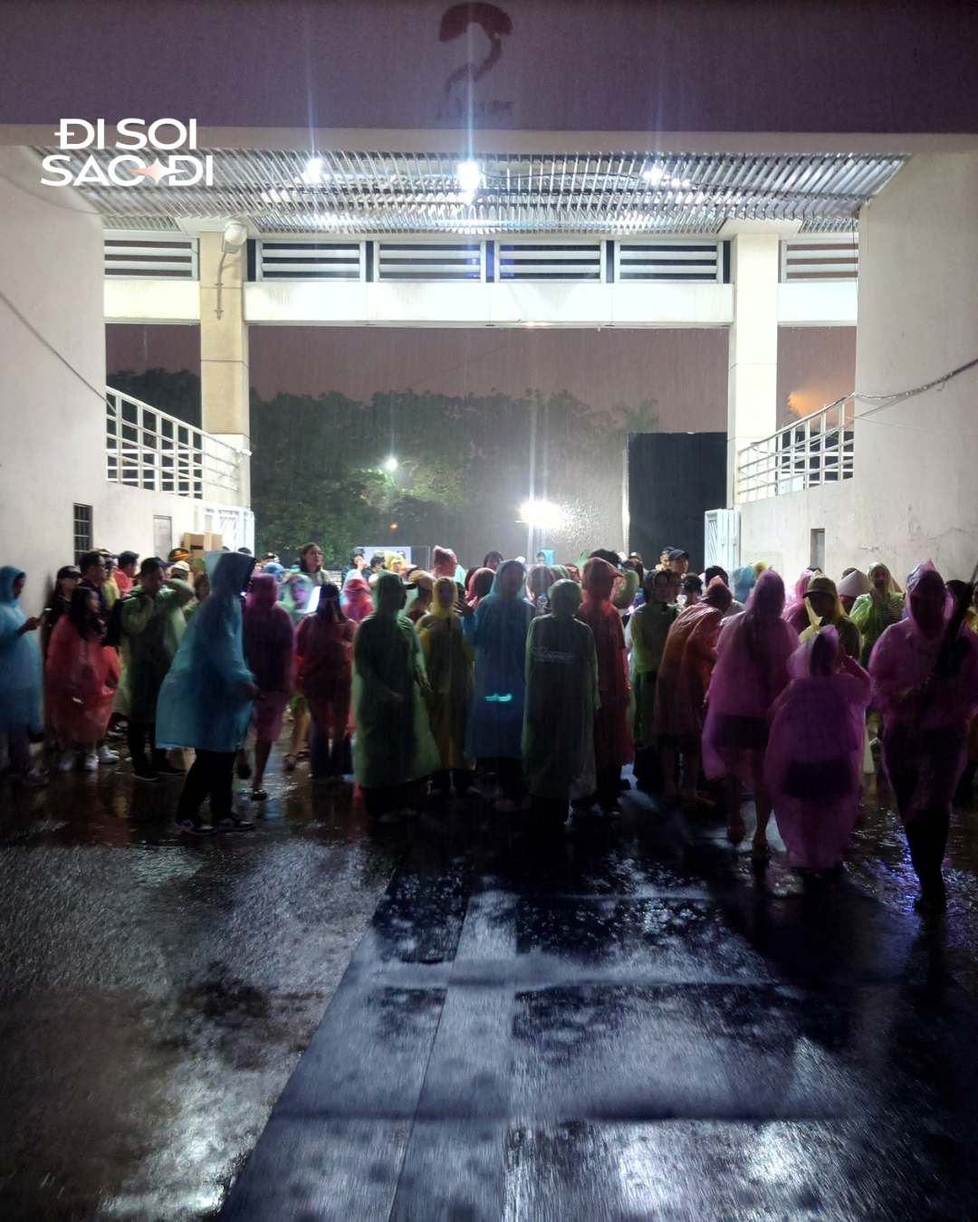 brown and beige illustrated world homeopathy day poster 2