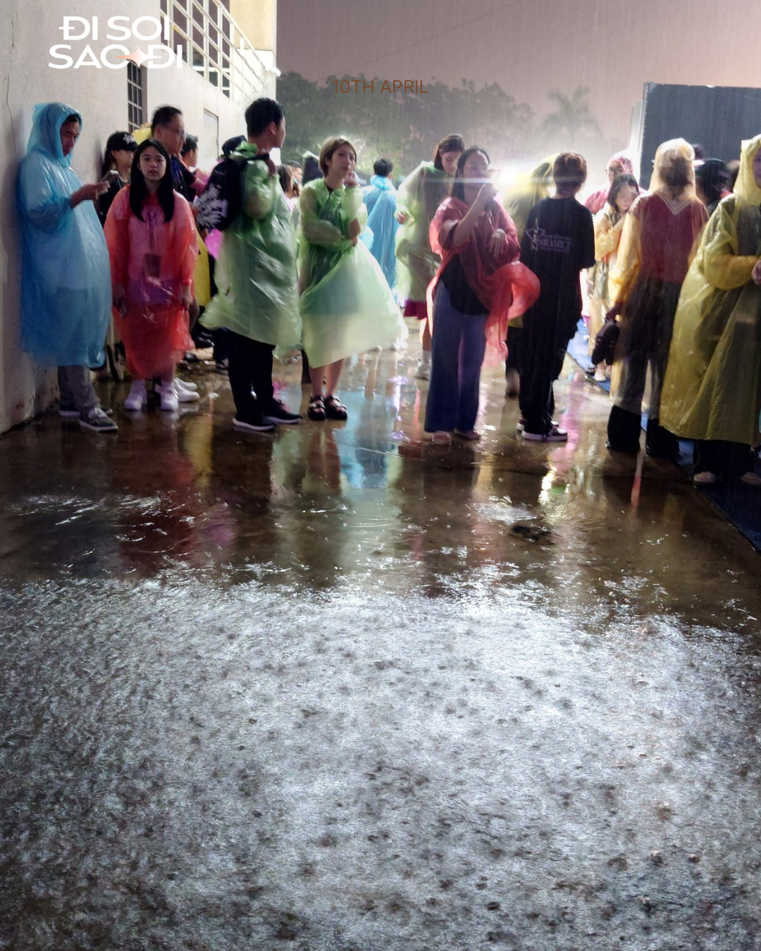 brown and beige illustrated world homeopathy day poster