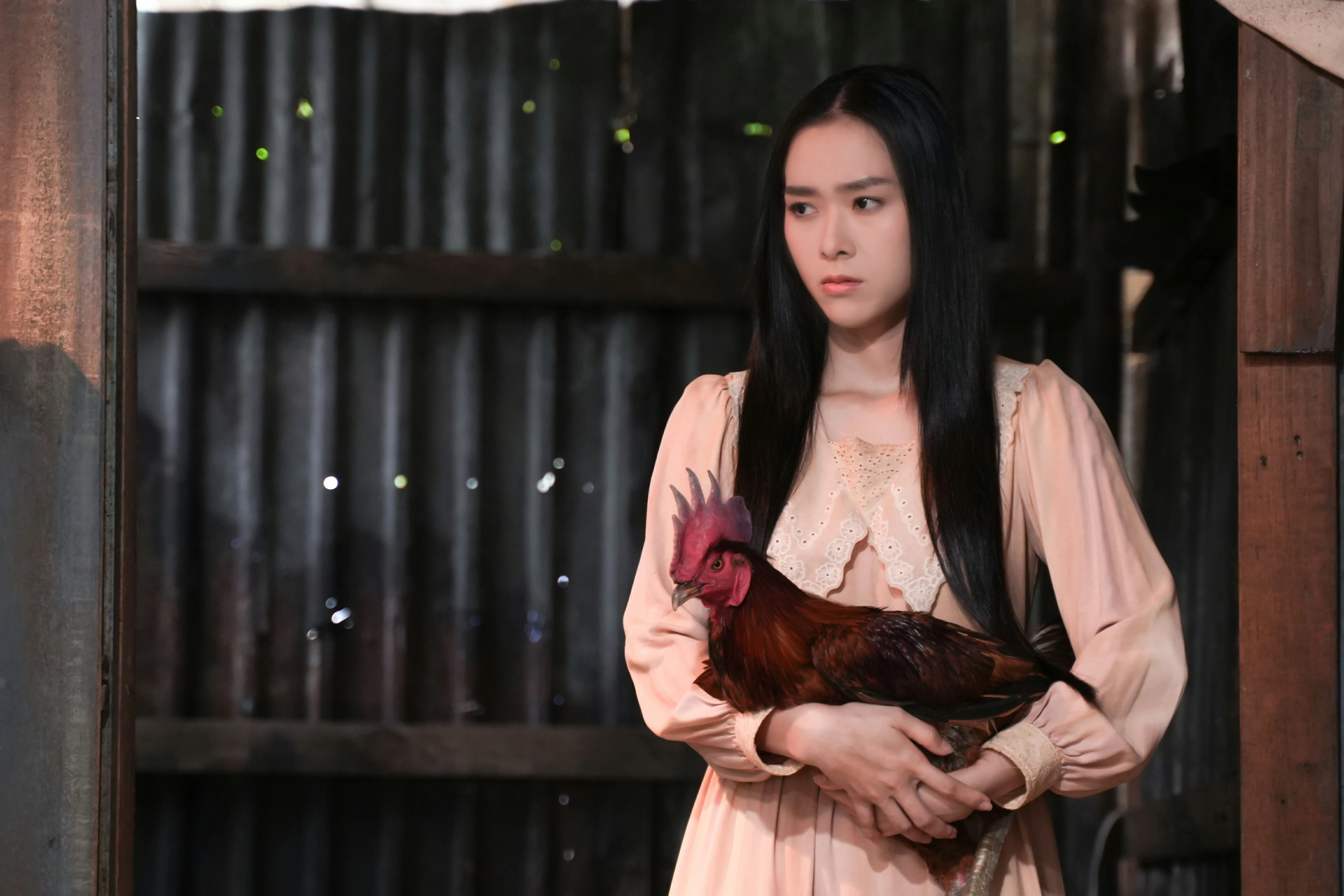 anh1 diepbaongoc20240802094