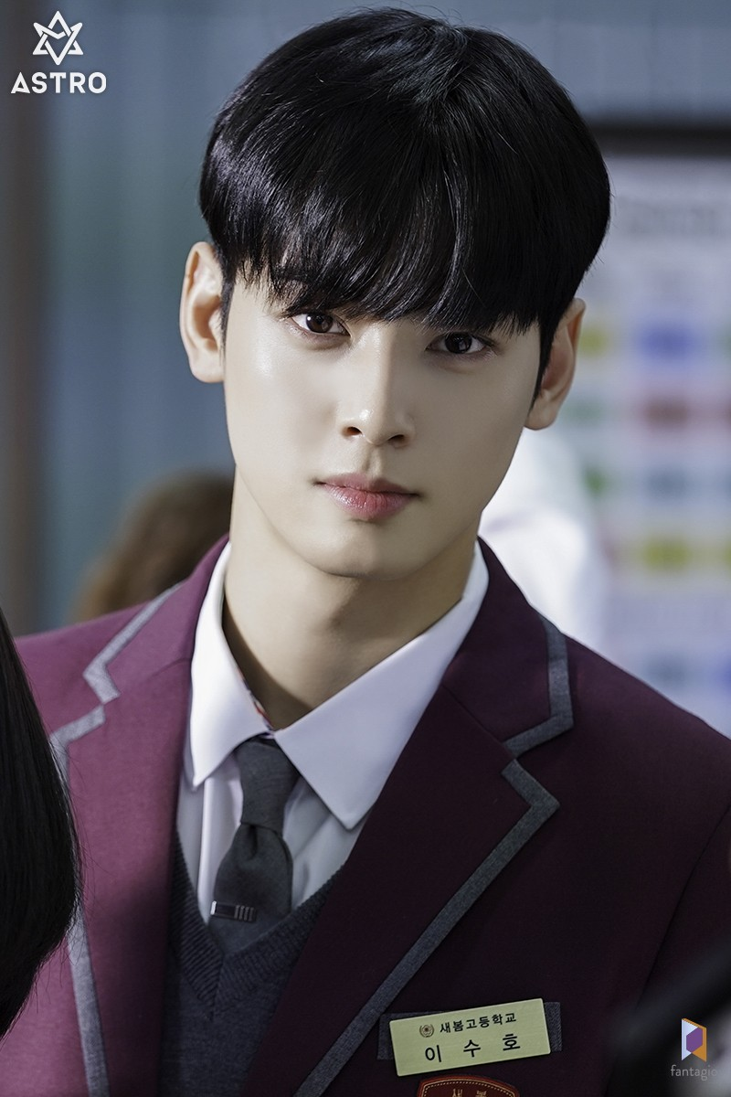 cha eun woo 2014 true beauty 743