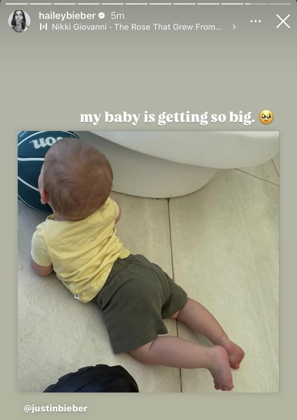 49193920699475110283780375393556