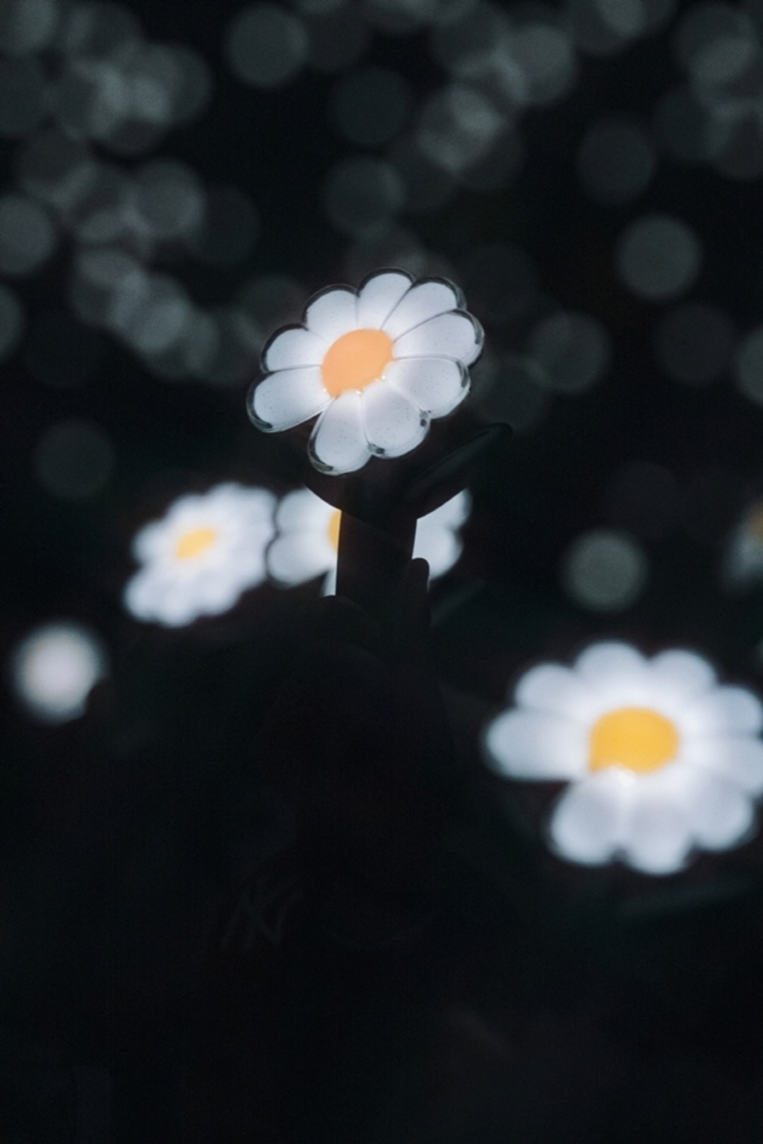 50927455911602601728016472267351655835146541n