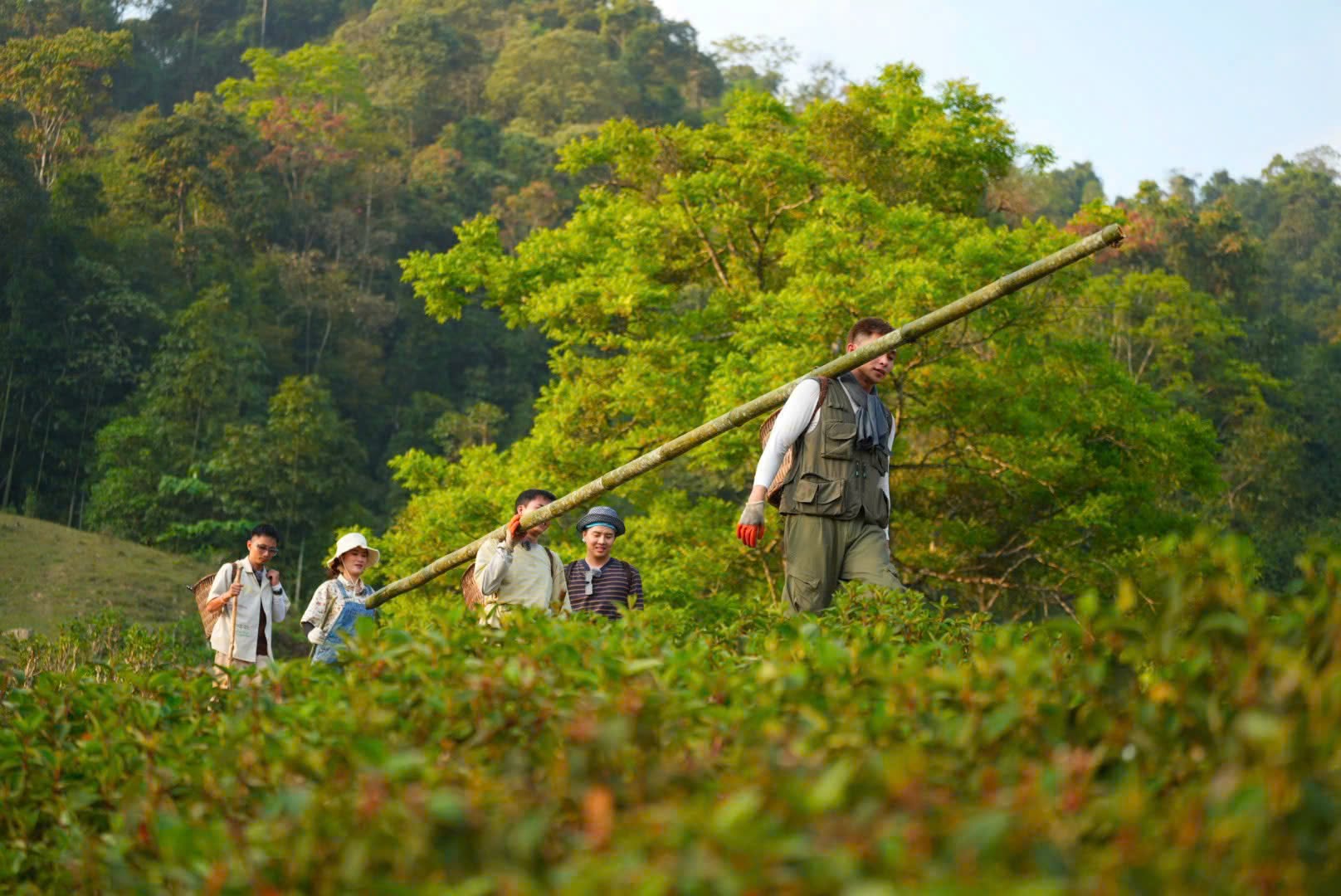 4920049061221273384207574277593587226257176543n