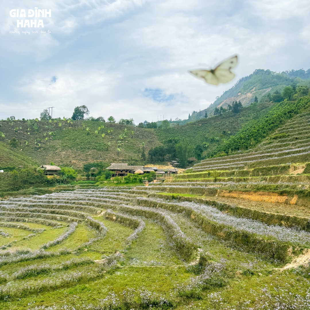 5004727451221344406387574274043849286996918537n