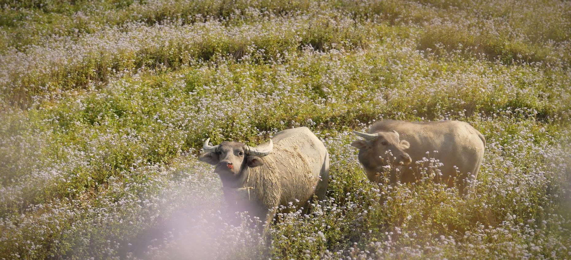 5049641491221373142187574271995321216012816082n