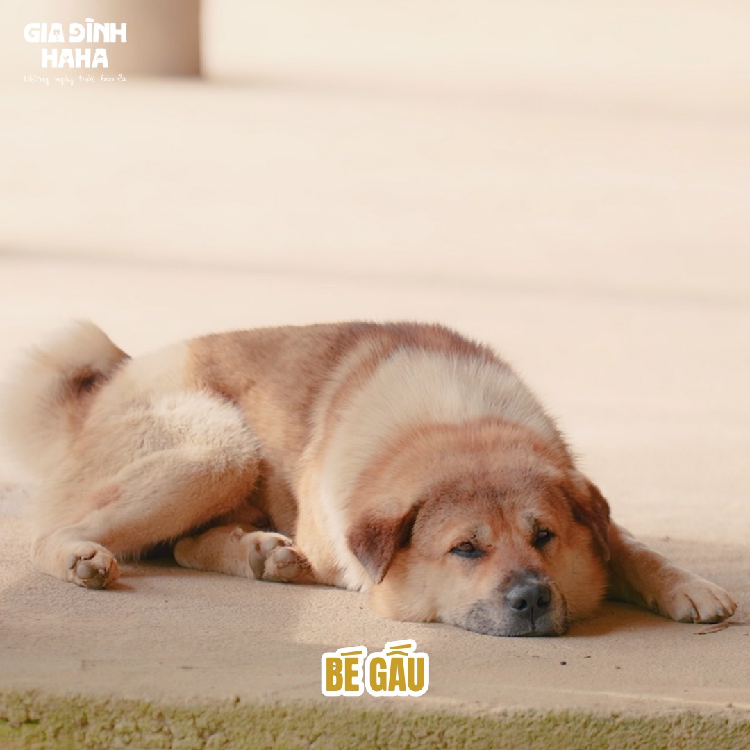 5077330211221387192867574271329235880752024595n