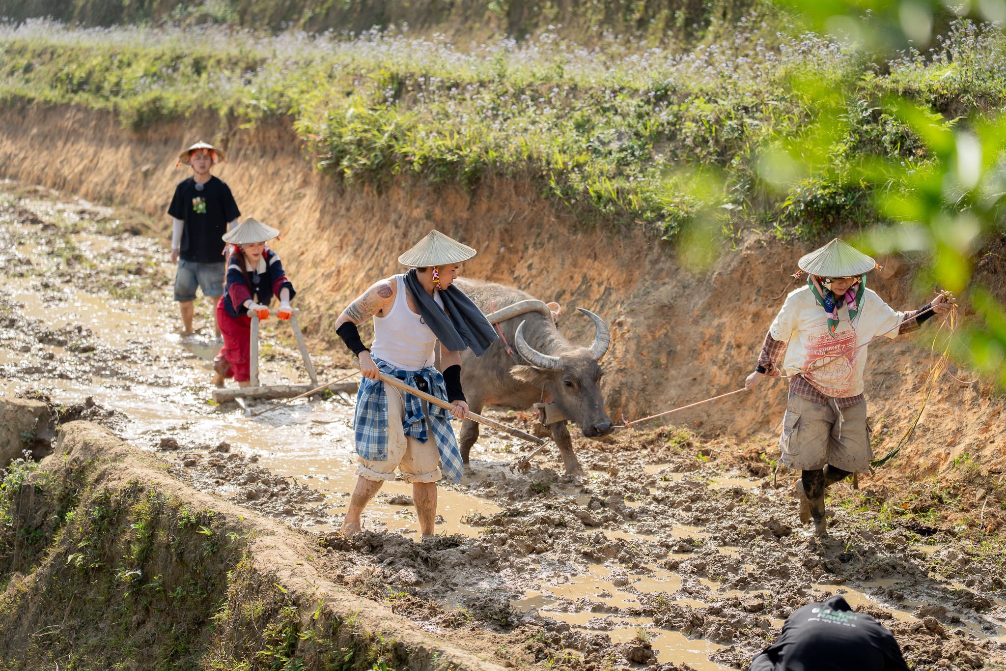 5093178151221399220347574271753596152298026080n 21