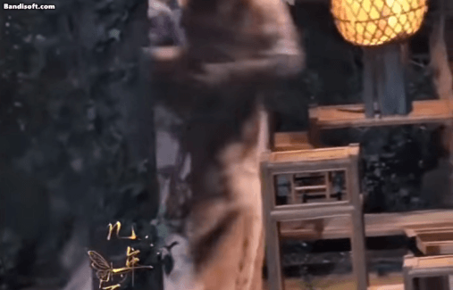 honeycam 2025 07 11 10 44 33