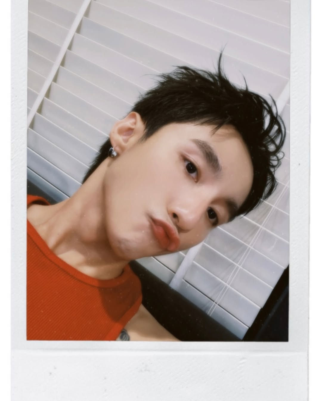 snapins ai3675695005781543043