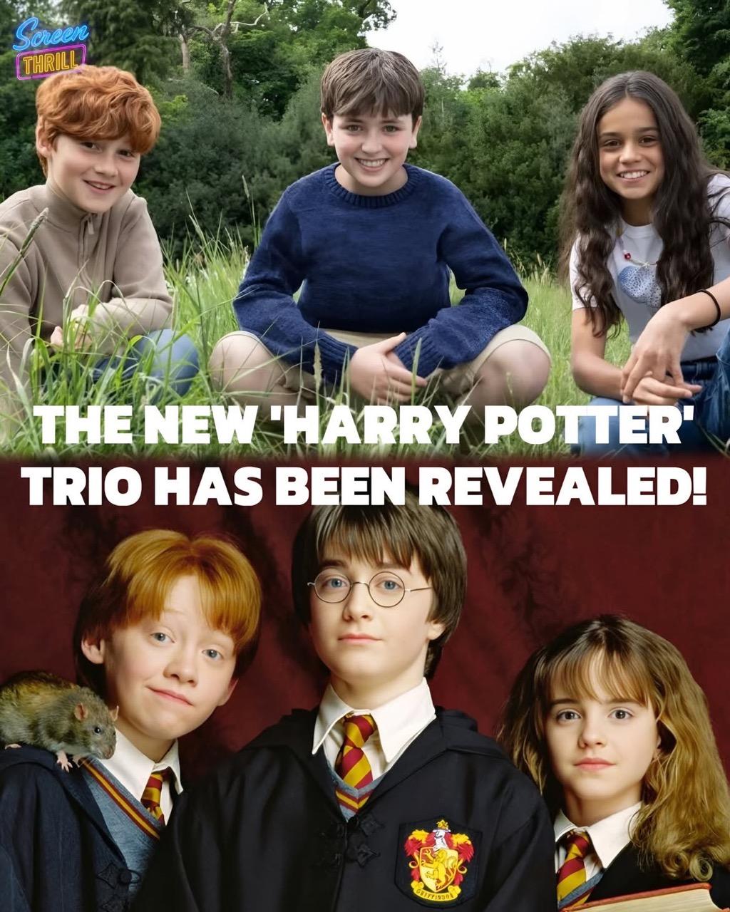 photo2025 07 1507 05 56